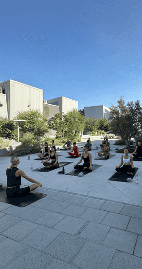Outdoor Yoga with Shimis