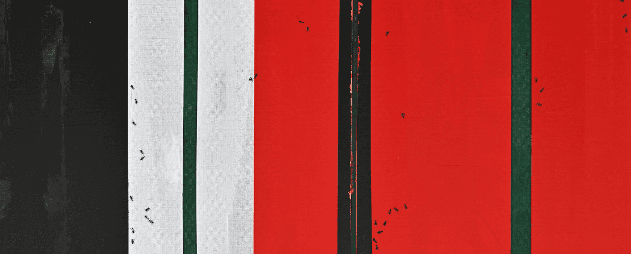 Refined Compositions: Ruba Salameh