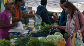 Organic Farmer’s Market @ Alserkal Avenue