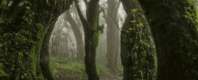 Everyman's Mountain: Omar Al Gurg