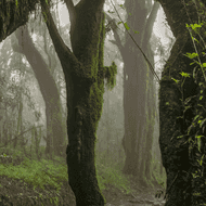 Everyman's Mountain: Omar Al Gurg