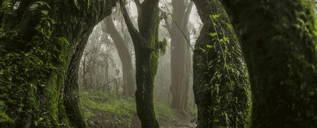 Everyman's Mountain: Omar Al Gurg