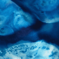 The Culinary Cyanotype
