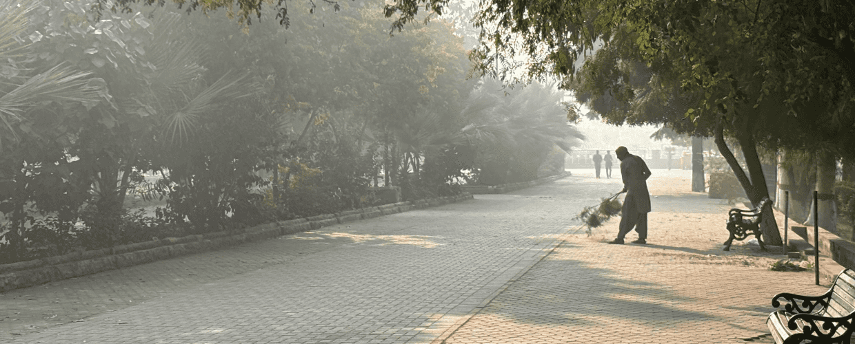 Visualizing Care: Curated by Uzma Z. Rizvi and Sara Eichner