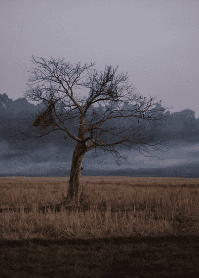 We must therefore turn our attention skywards: Devadeep Gupta