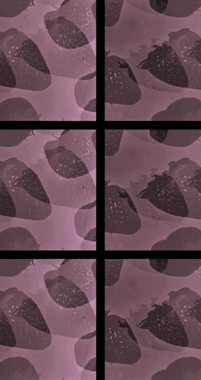 Anthology for Fruits and Vegetables (2019)