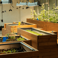 Fertiliser and Pest Control DIY