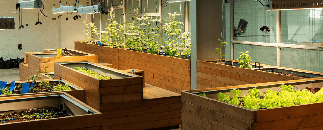 Fertiliser and Pest Control DIY