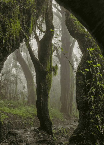 Everyman's Mountain: Omar Al Gurg