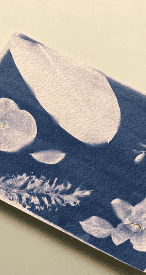 Cyanotype with Mohammed Abdelwahab