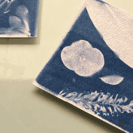 Cyanotype with Mohammed Abdelwahab