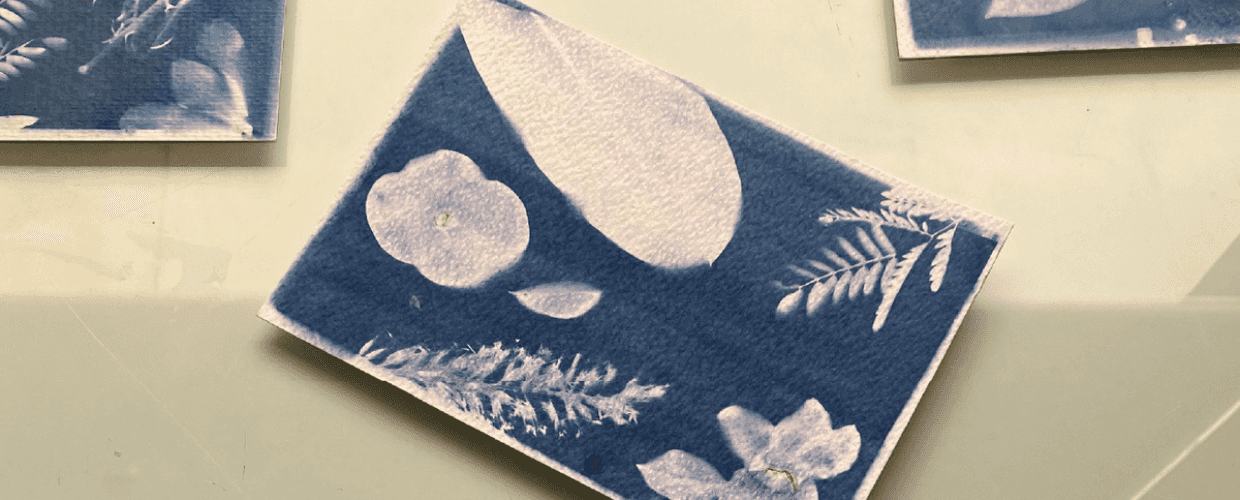 Cyanotype with Mohammed Abdelwahab