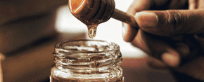 Honey Extraction