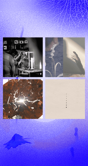 Majlis Talks: Re-seeding Stories