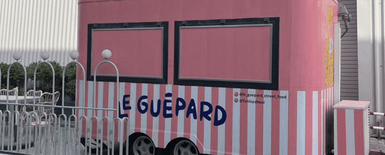Le Guepard