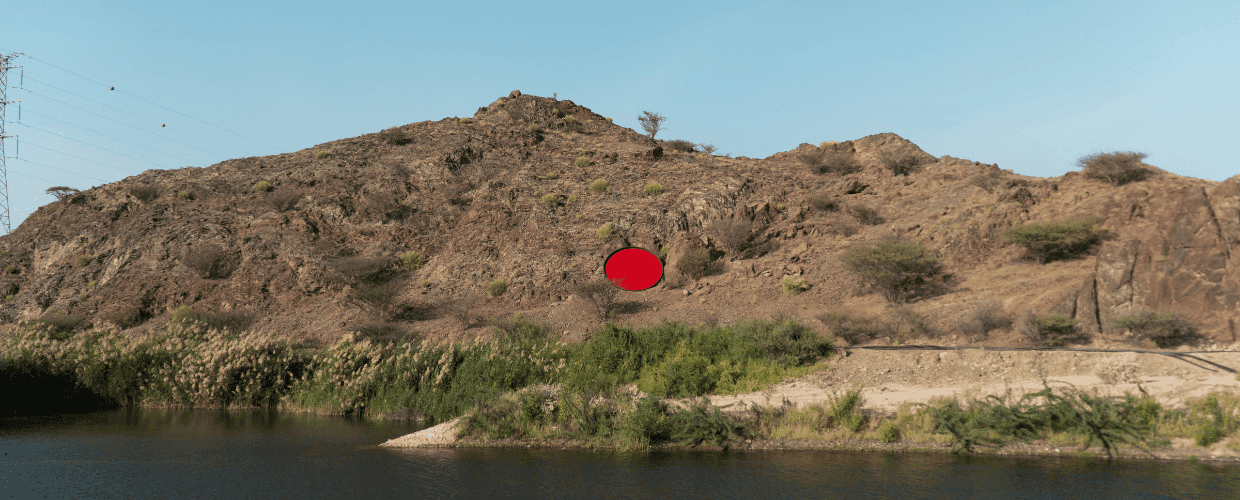 Bubble Land: Naeemeh Kazemi