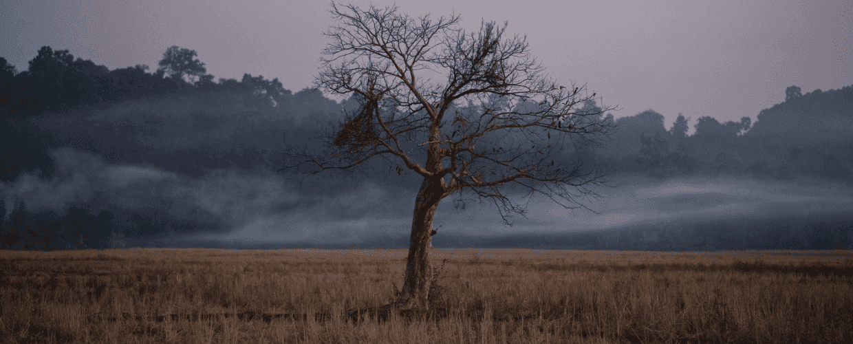 We must therefore turn our attention skywards: Devadeep Gupta