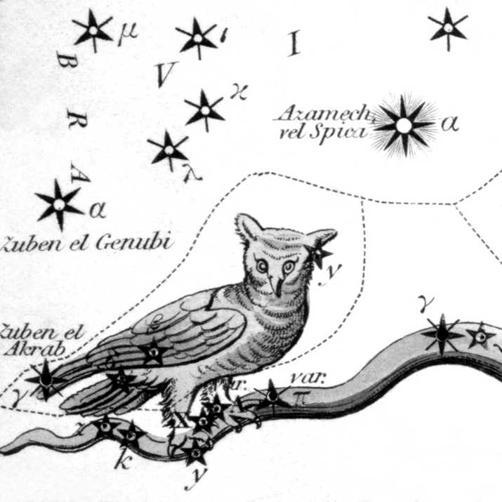 The constellation Noctua the Owl, plate 32 of Urania’s Mirror, 1824