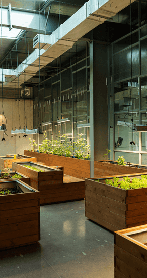 Fertiliser and Pest Control DIY